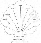 Albero Genealogico